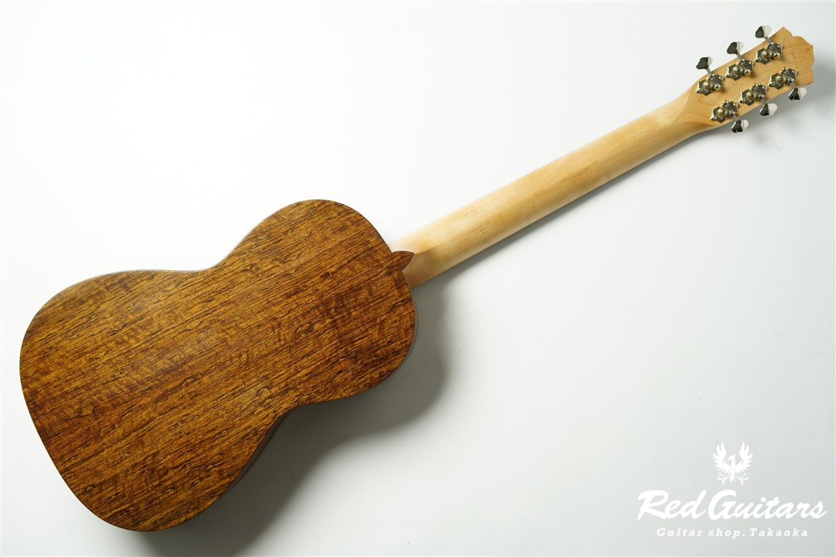 guitar 14f std. s - Red Cedar / Ovangkol