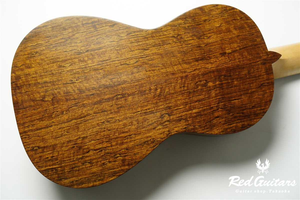 guitar 14f std. s - Red Cedar / Ovangkol