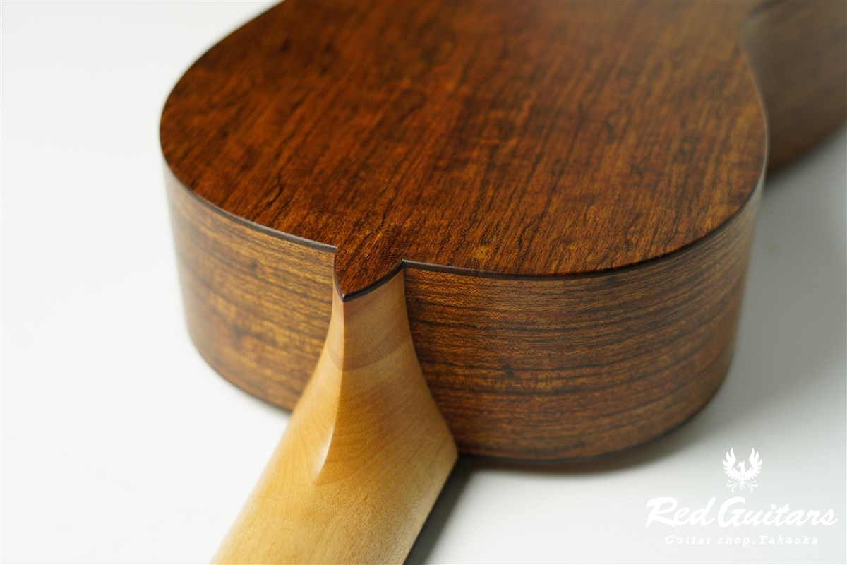 guitar 14f std. s - Red Cedar / Ovangkol