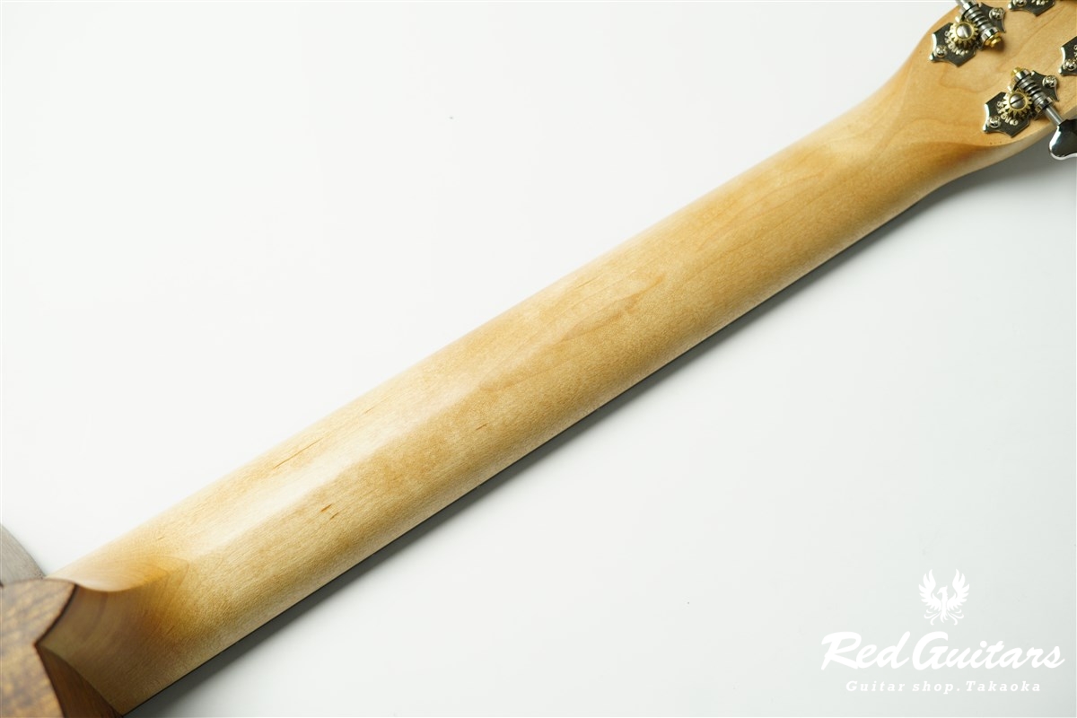 guitar 14f std. s - Red Cedar / Ovangkol