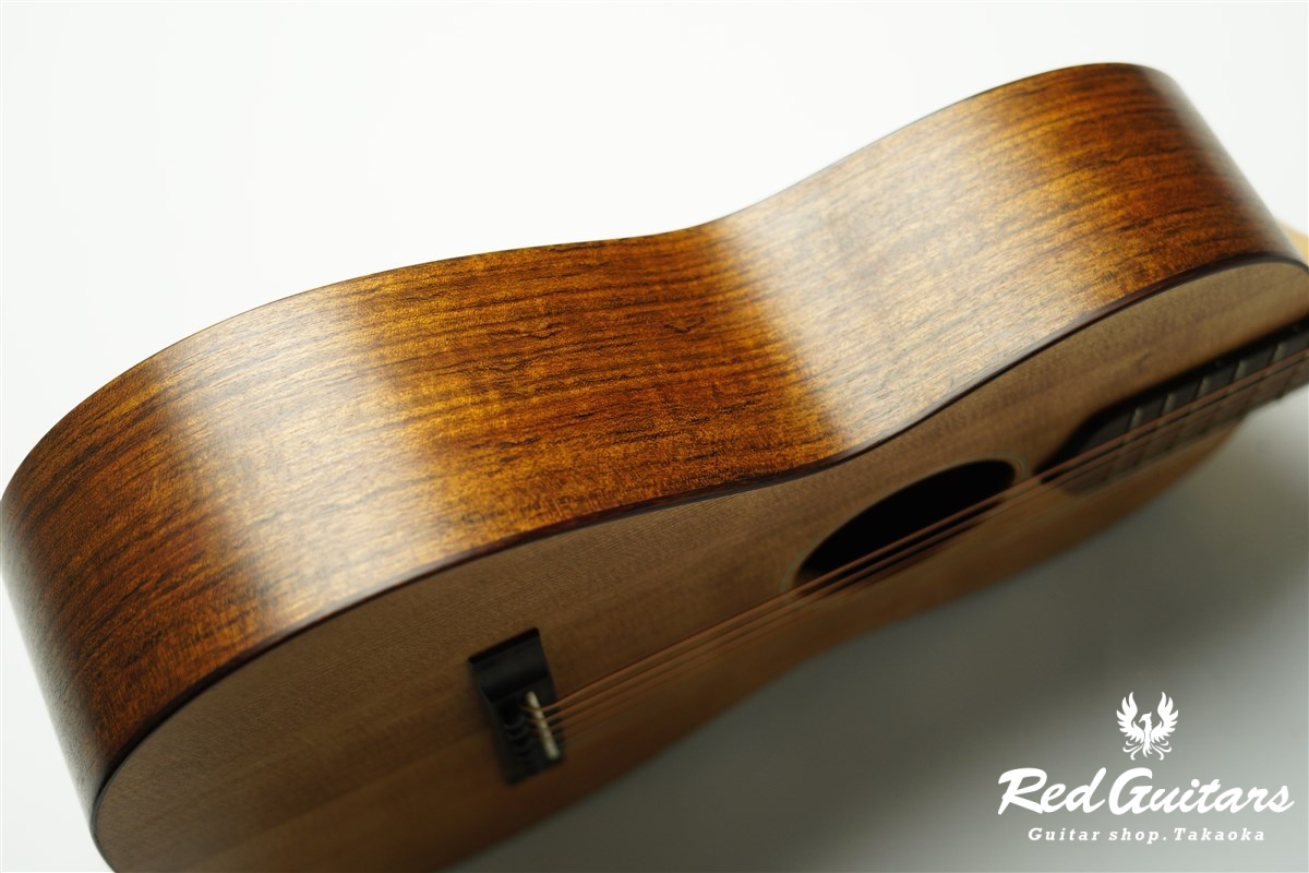 guitar 14f std. s - Red Cedar / Ovangkol