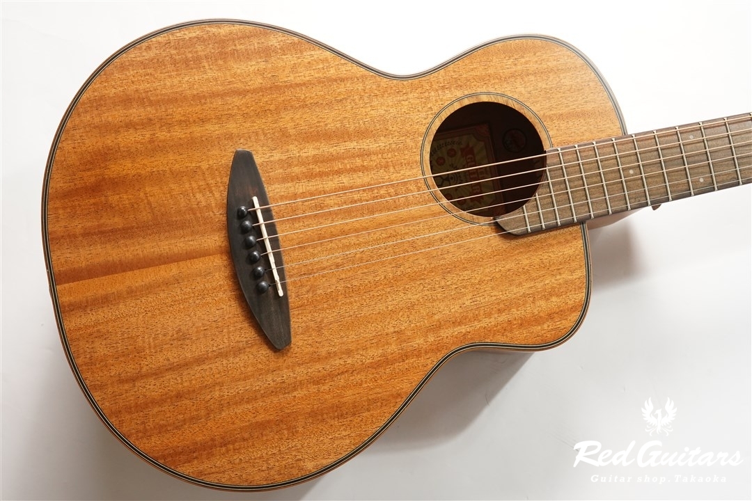 aNueNue M20 Feather Bird [aNN-M20] | Red Guitars Online Store