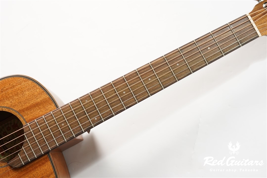 aNueNue M20 Feather Bird [aNN-M20] | Red Guitars Online Store