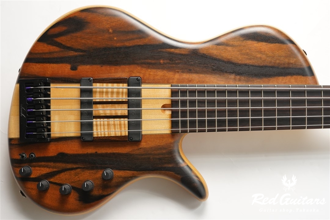 Elrick Platinum Series Single-Cut , e-volution 5 - Macassar Ebony 