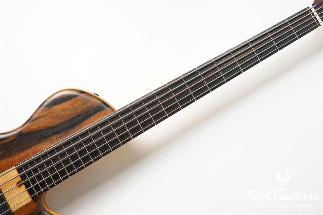 Elrick Platinum Series Single-Cut , e-volution 5 - Macassar Ebony 