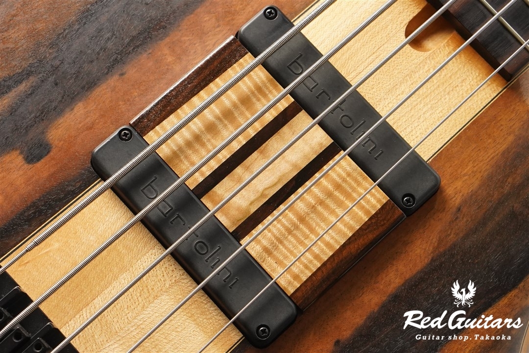Elrick Platinum Series Single-Cut , e-volution 5 - Macassar Ebony 