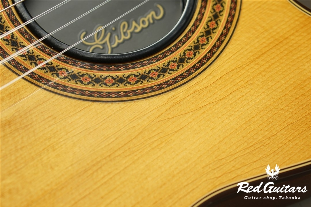 Chet Atkins CE
