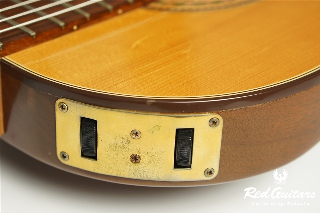 Chet Atkins CE