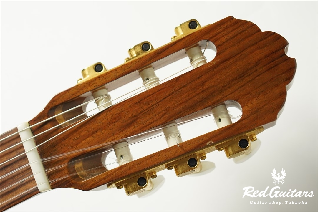 Chet Atkins CE