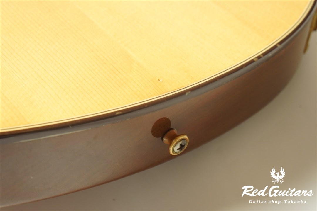 Chet Atkins CE