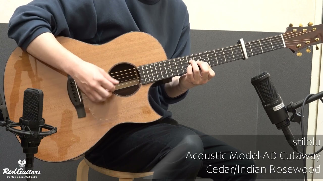 Acoustic Model-AD Cutaway Cedar/Indian Rosewood