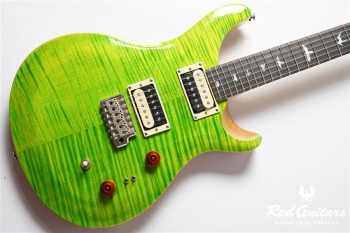 SE CUSTOM 24-08 - Eriza Verde