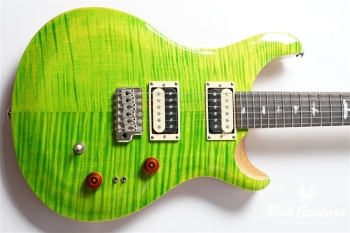 SE CUSTOM 24-08 - Eriza Verde
