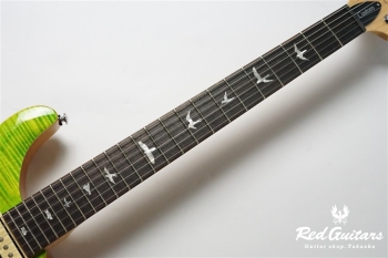 SE CUSTOM 24-08 - Eriza Verde