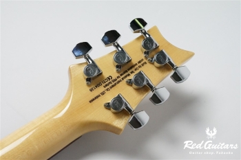 SE CUSTOM 24-08 - Eriza Verde