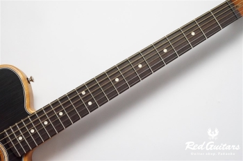 Acoustasonic Player Telecaster - Brushed Black