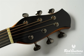 aNN-LS600 Design by Luthier Sugita Kenji