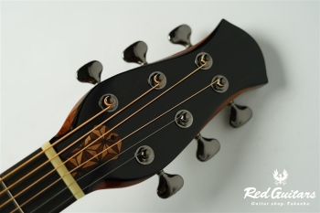 aNN-LS700E Design by Luthier Sugita Kenji