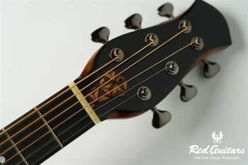 aNN-LS700E Design by Luthier Sugita Kenji