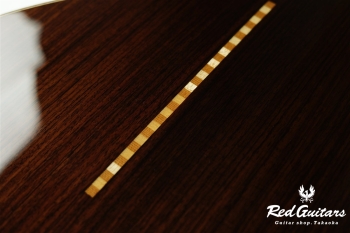 aNN-LS700E Design by Luthier Sugita Kenji