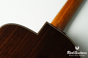 aNN-LS700E Design by Luthier Sugita Kenji