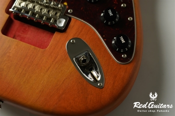 Stories Collection Michael Landau Coma Stratocaster