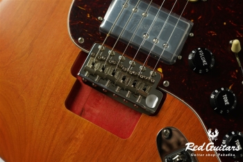 Stories Collection Michael Landau Coma Stratocaster