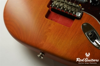 Stories Collection Michael Landau Coma Stratocaster