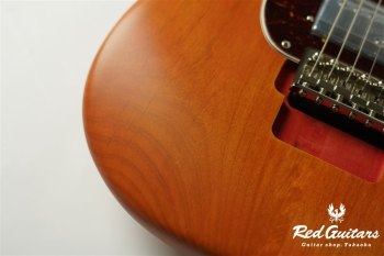 Stories Collection Michael Landau Coma Stratocaster