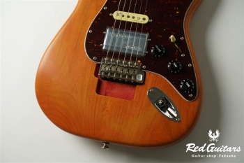 Stories Collection Michael Landau Coma Stratocaster
