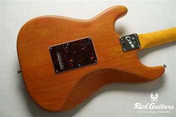 Stories Collection Michael Landau Coma Stratocaster