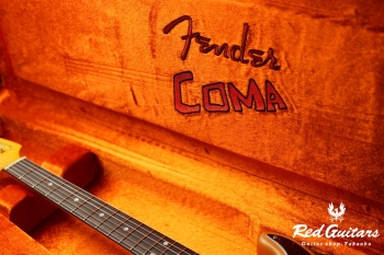 Stories Collection Michael Landau Coma Stratocaster
