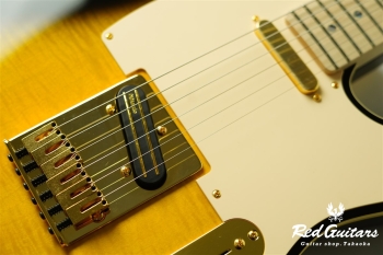 Richie Kotzen Tele - Brown Sunburst