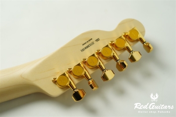 Richie Kotzen Tele - Brown Sunburst