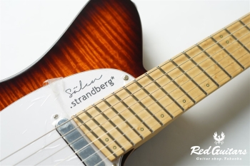 Salen Deluxe NX 6 - Vintage Burst