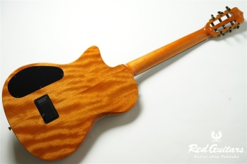 STAGE GUITAR LIMITED - Garnet