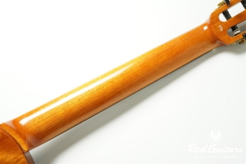 STAGE GUITAR LIMITED - Garnet