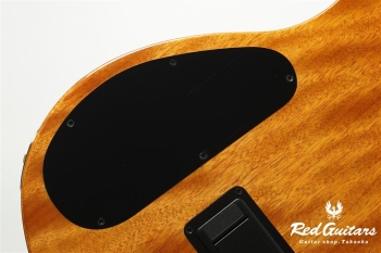 STAGE GUITAR LIMITED - Garnet