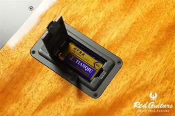 STAGE GUITAR LIMITED - Garnet