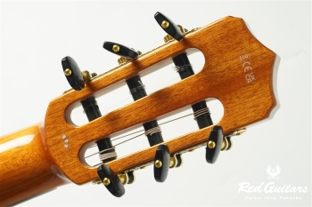 STAGE GUITAR LIMITED - Garnet