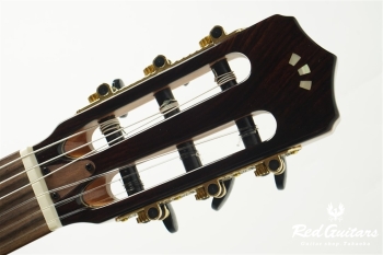 STAGE GUITAR LIMITED - Garnet