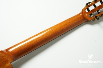 STAGE GUITAR - Natural Amber