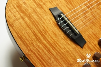 STAGE GUITAR - Natural Amber