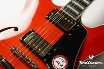 EXRUBATO-CTM-JT - T-RED