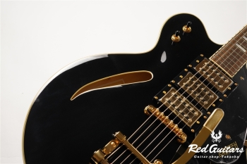 G2627TG Streamliner Center Block 3PU with Bigsby - Black