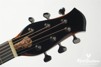 aNN-LS700 Design by Luthier Sugita Kenji