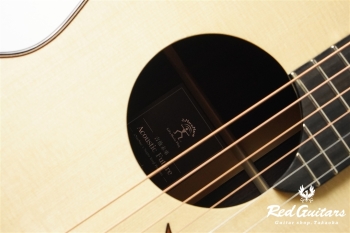 aNN-LS700 Design by Luthier Sugita Kenji