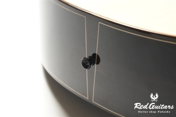 aNN-LS700 Design by Luthier Sugita Kenji