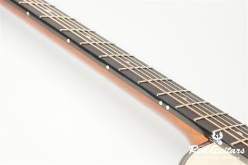 aNN-LS700 Design by Luthier Sugita Kenji