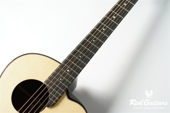 aNN-LS700 Design by Luthier Sugita Kenji